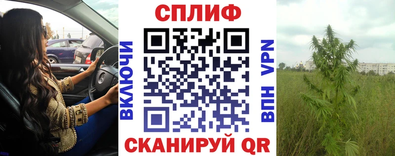 Канабис планчик  Калининск 